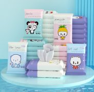 10片装湿纸巾湿巾婴儿十片抽无纺布湿巾纸母婴网店小礼品